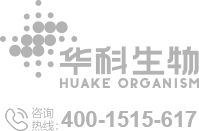 &#20061;&#28216;&#23448;&#26041;&#32593;&#39029;&#29256;&#45;&#20061;&#28216;&#40;&#20013;&#22269;&#41;